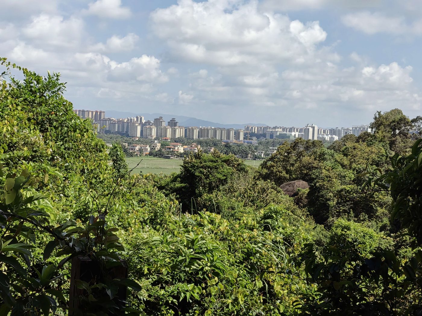 东山岭半山腰