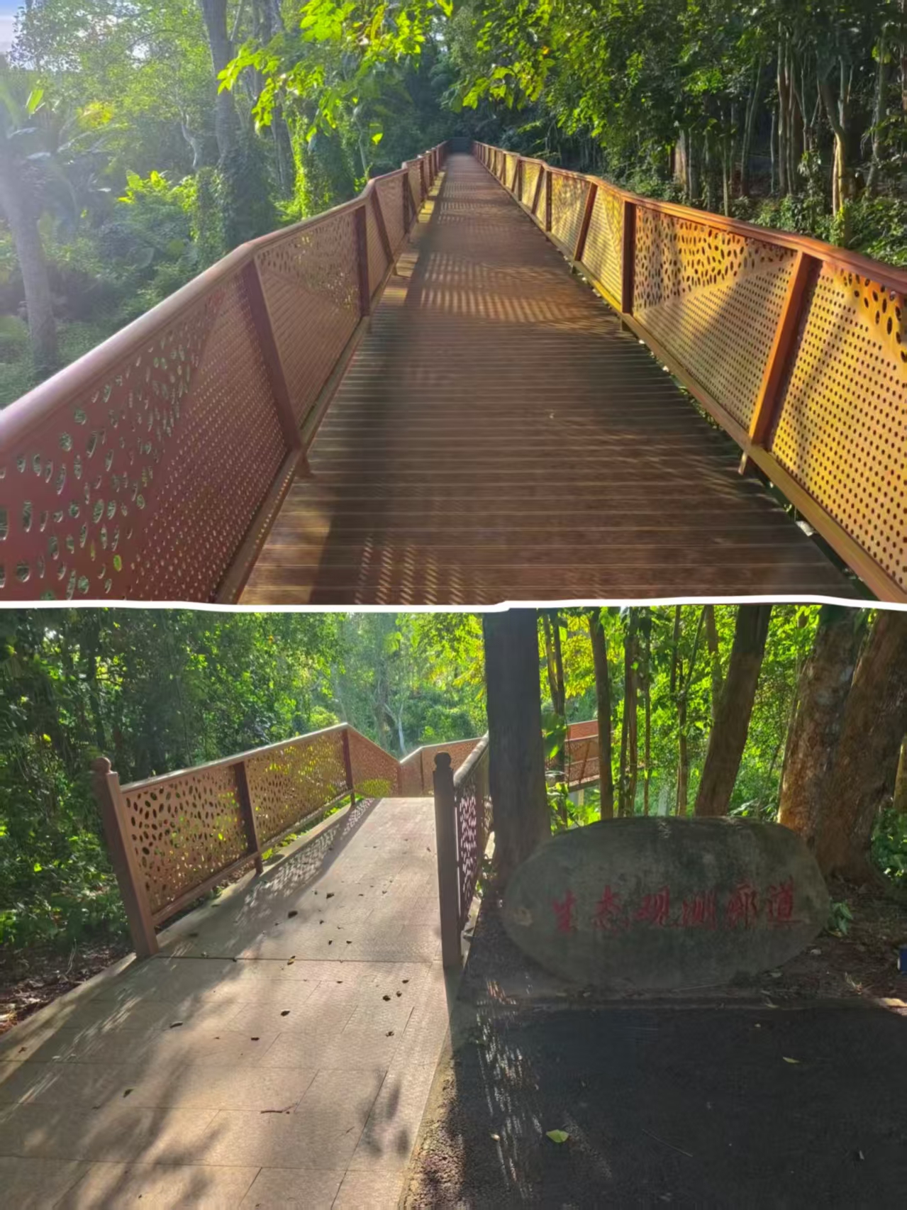 生态观测廊道