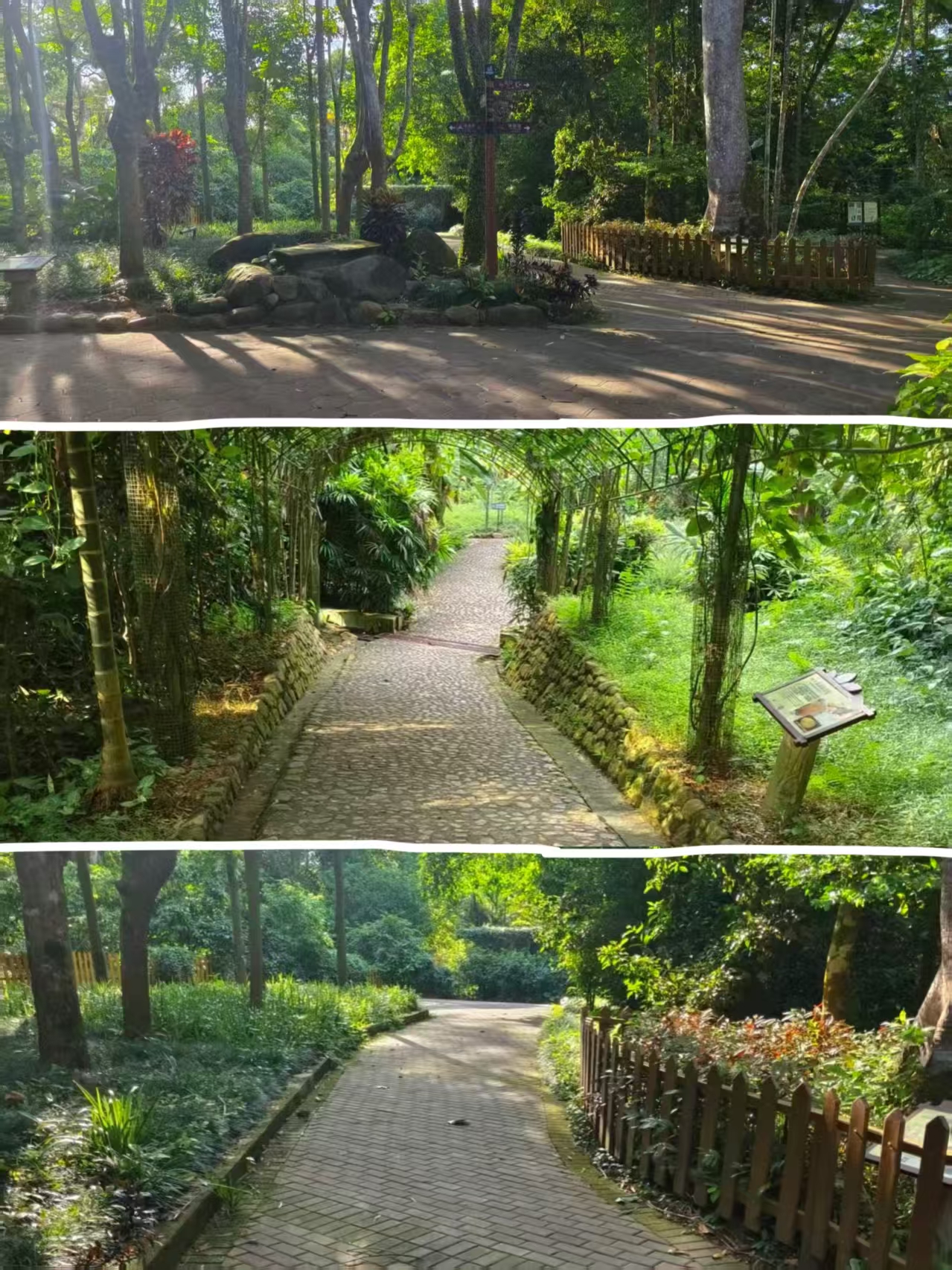 林间指示牌与分支道路