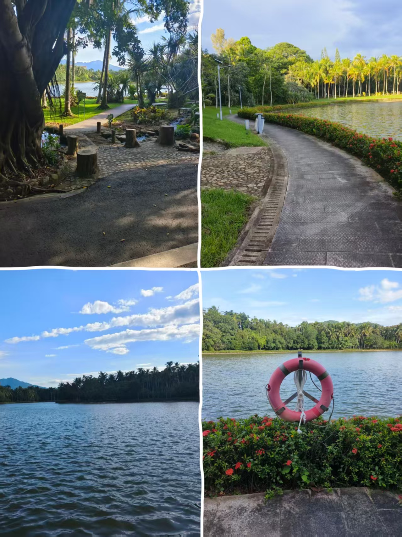 湖区环湖路与救生圈