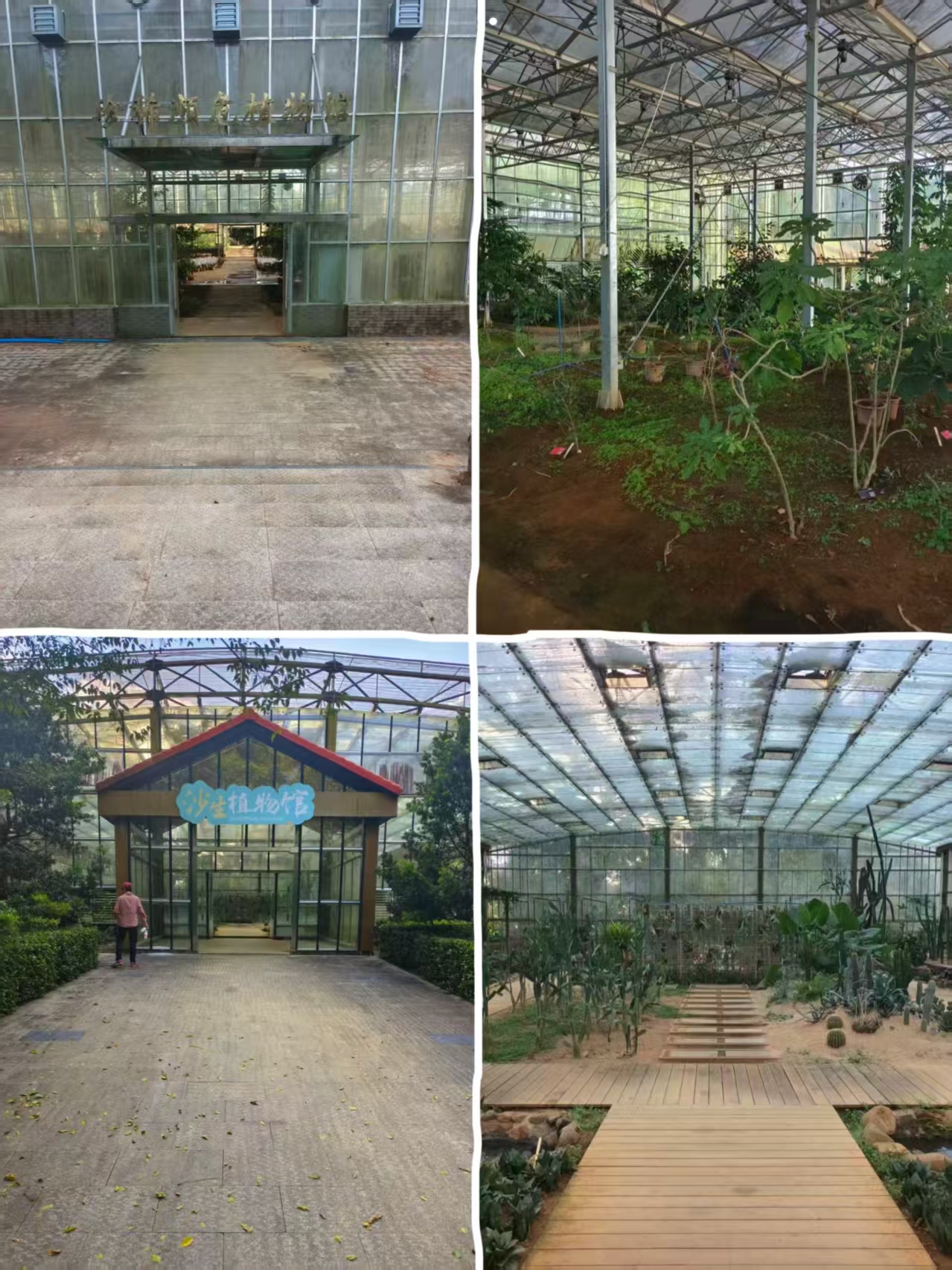 珍稀濒危植物馆与沙生博物馆