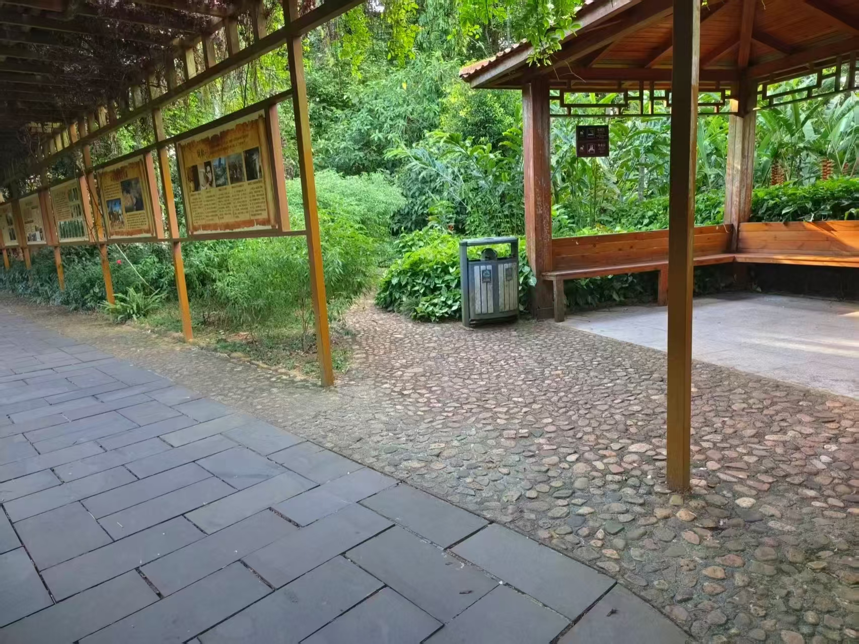 林间休息走廊与科普展板